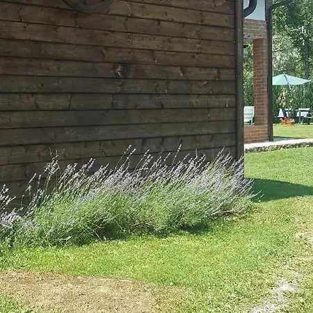 ロッジ Casa Bella Vadu Moţilor