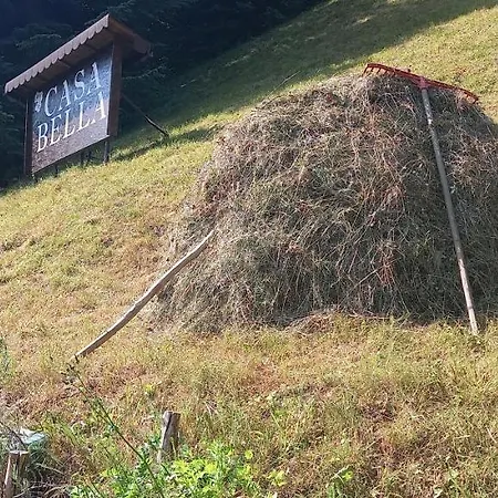 Casa Bella * Vadu Motilor
