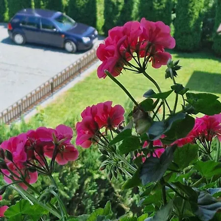 ロッジ Casa Bella
