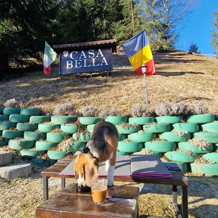 Casa Bella Cabană Vadu Motilor